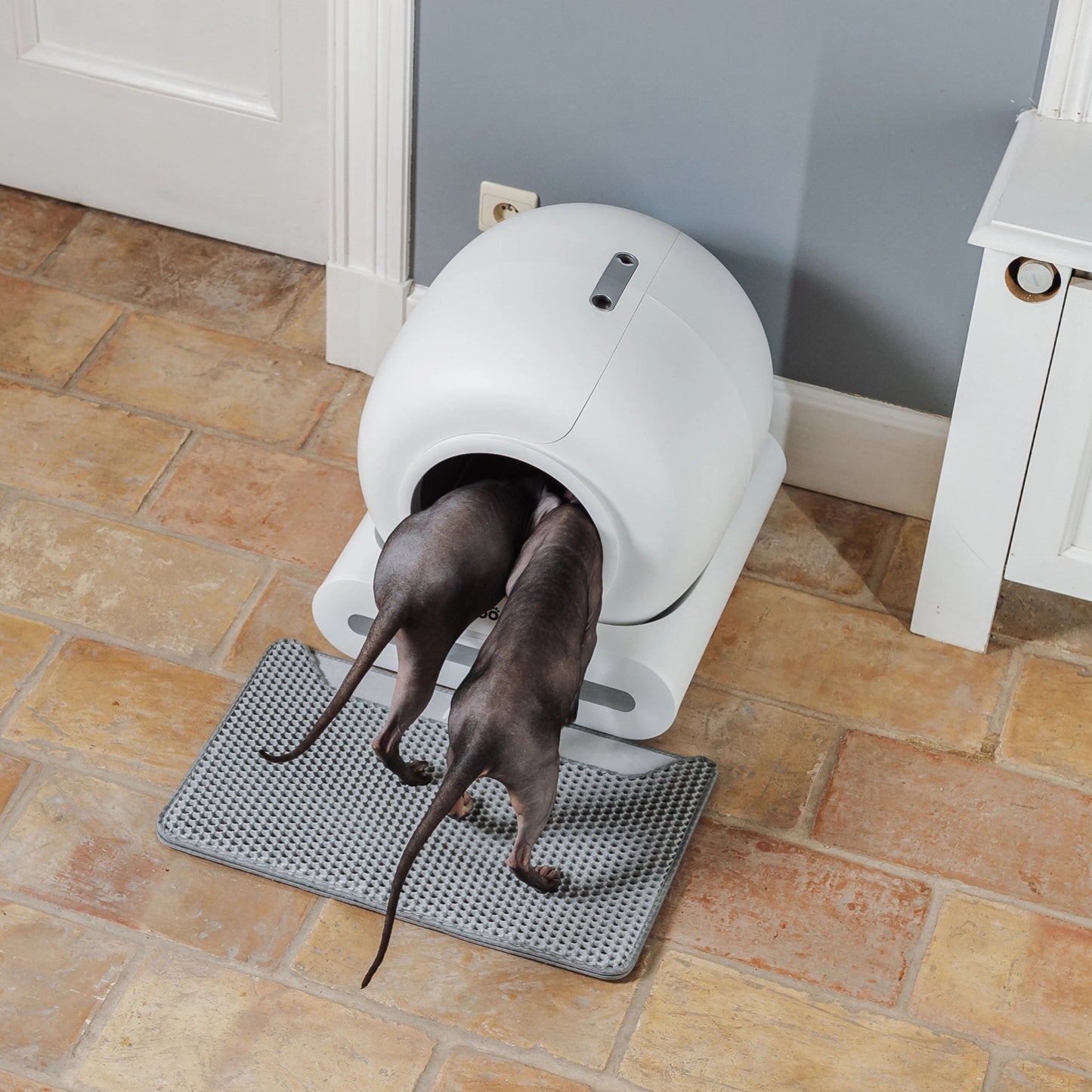 Poopy Nano 2 Bundel - Wit