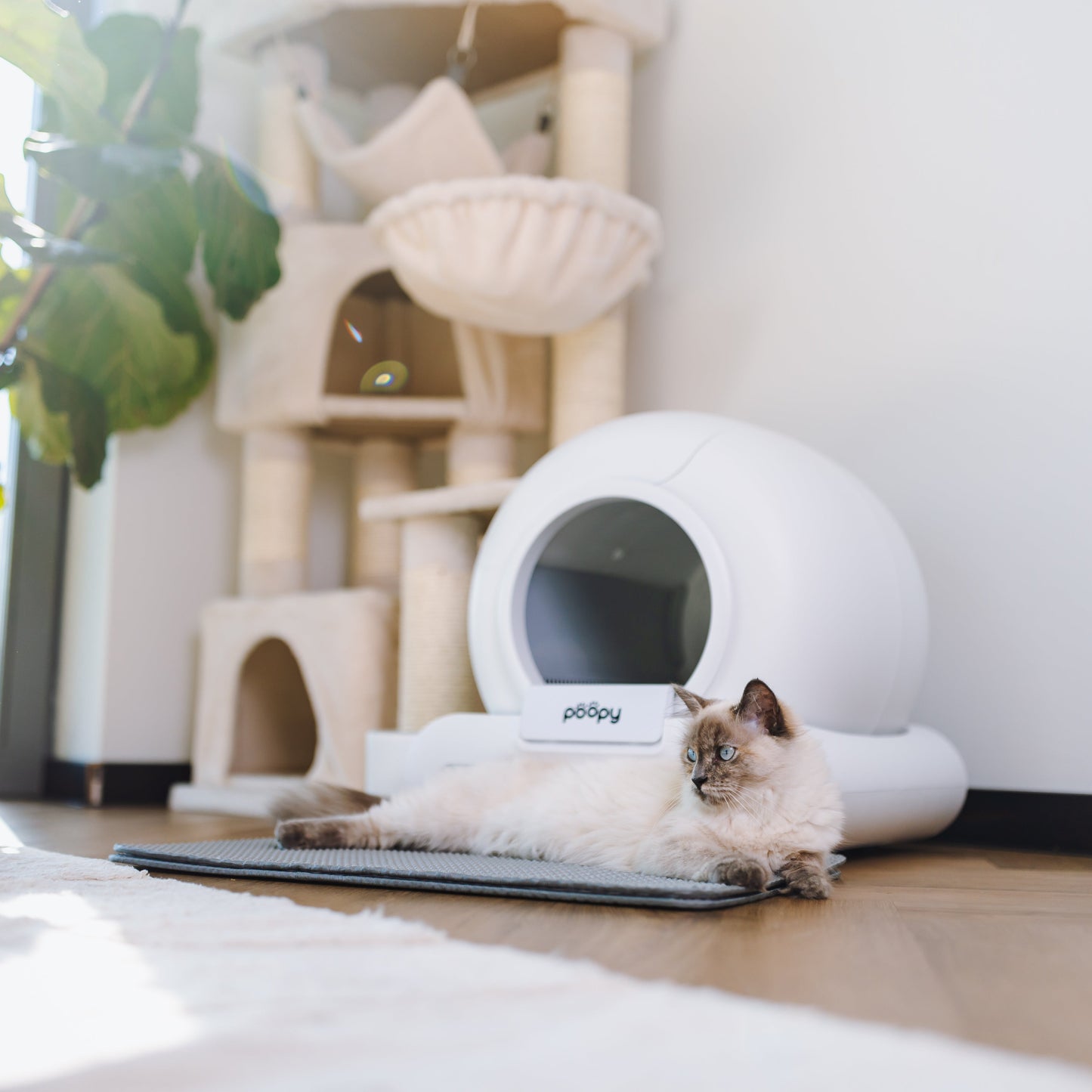 PRE ORDER - Poopy Nano 2 Bundel - Wit